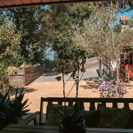 Casa Magnolia Villa Dosrius Dış mekan fotoğraf